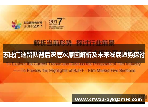 苏比门迪留队背后深层次原因解析及未来发展趋势探讨