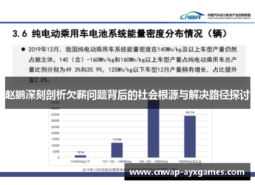 赵鹏深刻剖析欠薪问题背后的社会根源与解决路径探讨 赵鹏深刻剖析欠薪问题背后的社会根源与解决路径探讨