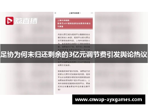 足协为何未归还剩余的3亿元调节费引发舆论热议 足协为何未归还剩余的3亿元调节费引发舆论热议