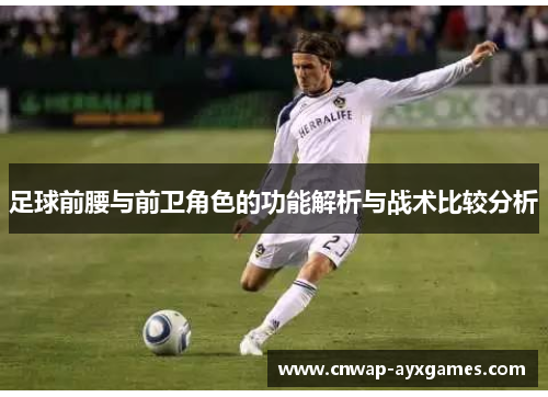 足球前腰与前卫角色的功能解析与战术比较分析 足球前腰与前卫角色的功能解析与战术比较分析