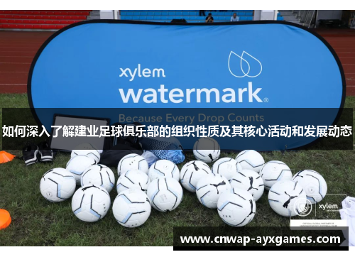 如何深入了解建业足球俱乐部的组织性质及其核心活动和发展动态