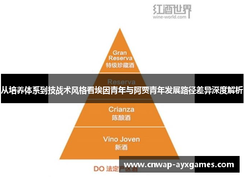 从培养体系到技战术风格看埃因青年与阿贾青年发展路径差异深度解析