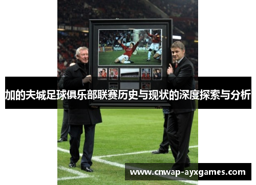 加的夫城足球俱乐部联赛历史与现状的深度探索与分析