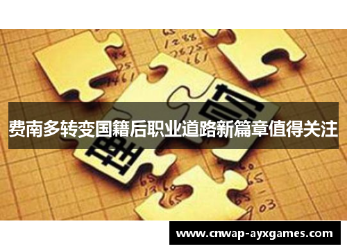 费南多转变国籍后职业道路新篇章值得关注