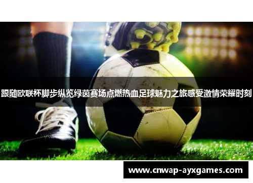 跟随欧联杯脚步纵览绿茵赛场点燃热血足球魅力之旅感受激情荣耀时刻